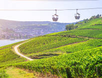 Die Rüdesheimer Seilbahn ist der perfekte Start in den Urlaub. Genießen Sie unvergessliche Ausflüge rund um den Niederwald und lassen Sie die Natur und die Landschaft auf sich wirken.