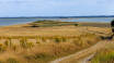 Tag en tur til Æbelø, den øde ø på toppen af Fyn, for at opleve enestående natur.