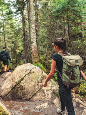Erkunden Sie malerische Wanderwege durch die Wälder dieser schönen Region.