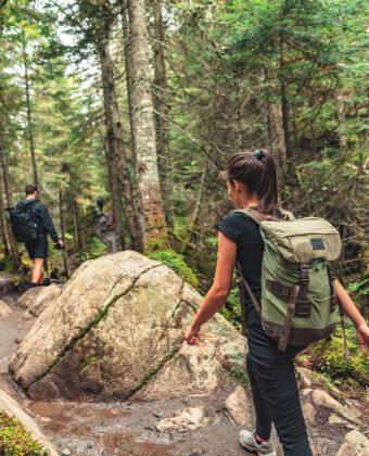 Erkunden Sie malerische Wanderwege durch die Wälder dieser schönen Region.