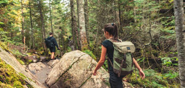 Erkunden Sie malerische Wanderwege durch die Wälder dieser schönen Region.