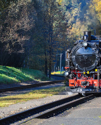 Experience nostalgic journeys on the charming narrow-gauge steam railway nearby.