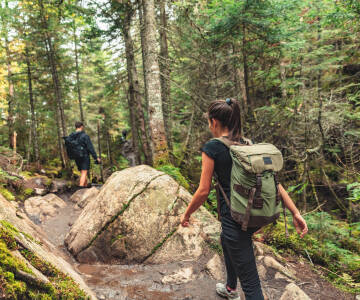 Erkunden Sie malerische Wanderwege durch die Wälder dieser schönen Region.