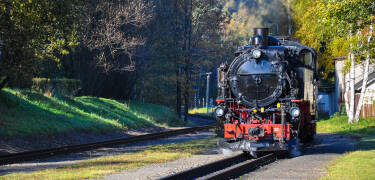Erleben Sie nostalgische Fahrten mit der charmanten Schmalspurbahn in der Nähe.