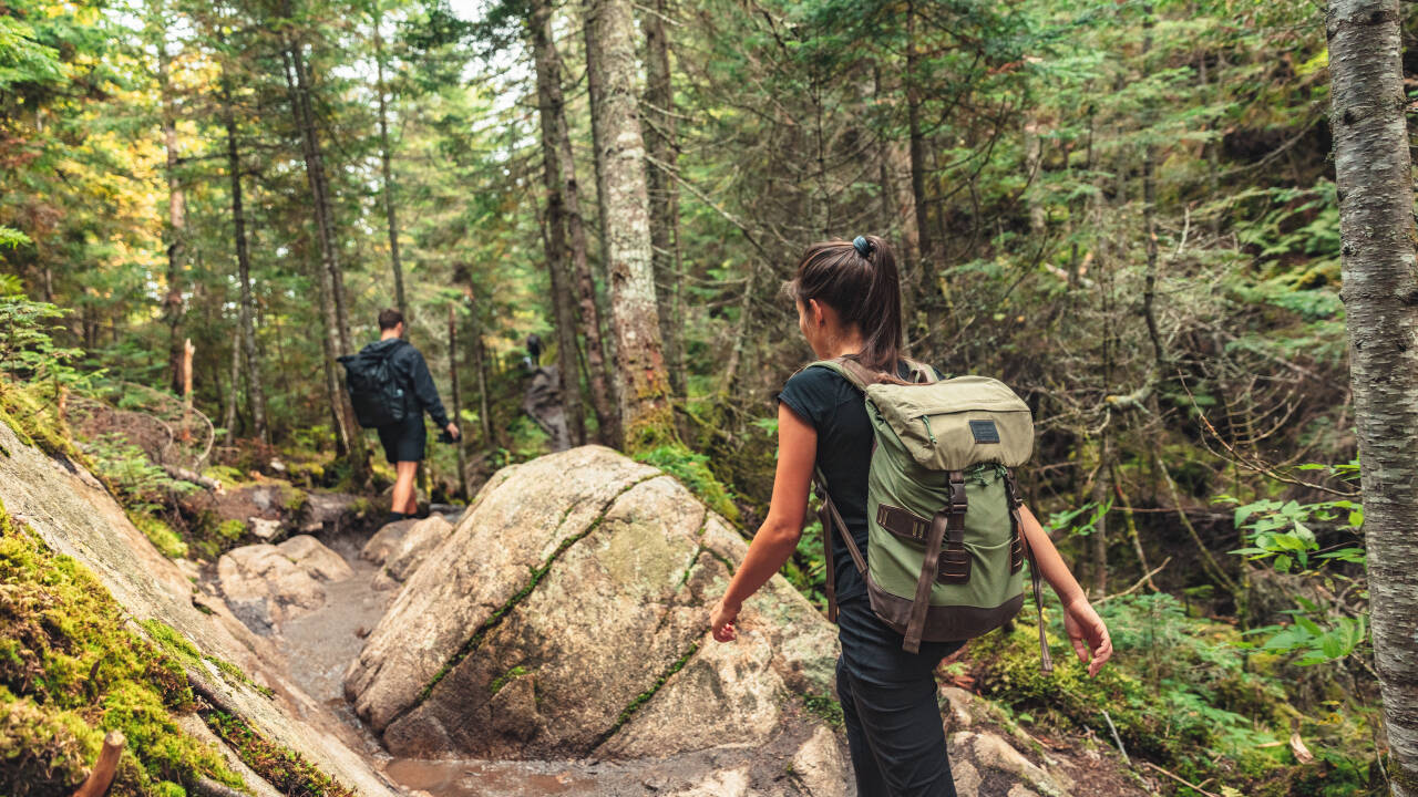 Erkunden Sie malerische Wanderwege durch die Wälder dieser schönen Region.