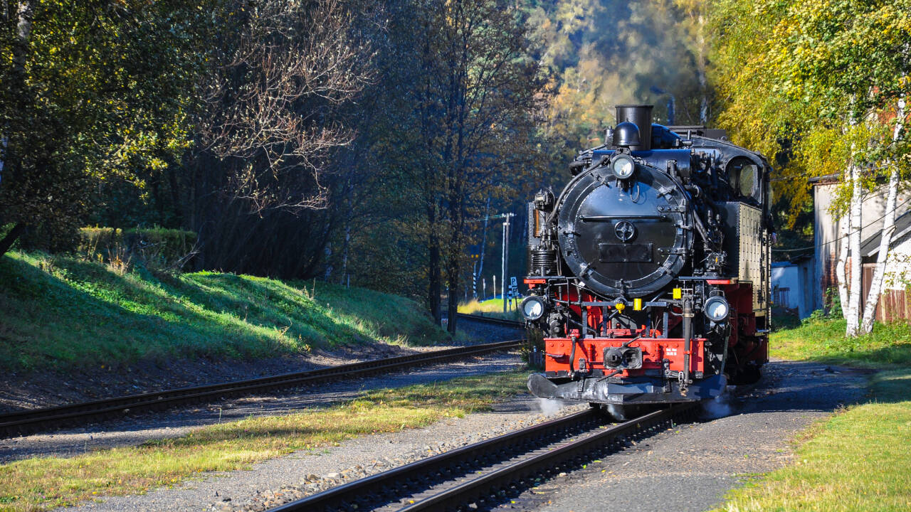 Erleben Sie nostalgische Fahrten mit der charmanten Schmalspurbahn in der Nähe.