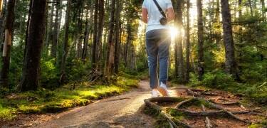 Entdecken Sie die Wälder Smålands auf malerischen Wanderwegen und ruhigen Radstrecken.