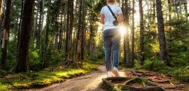 Entdecken Sie die Wälder Smålands auf malerischen Wanderwegen und ruhigen Radstrecken.