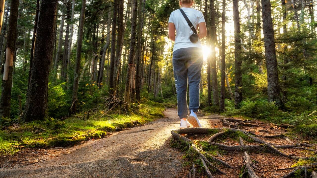 Explore the forests of Småland on scenic hiking trails and peaceful cycling routes.