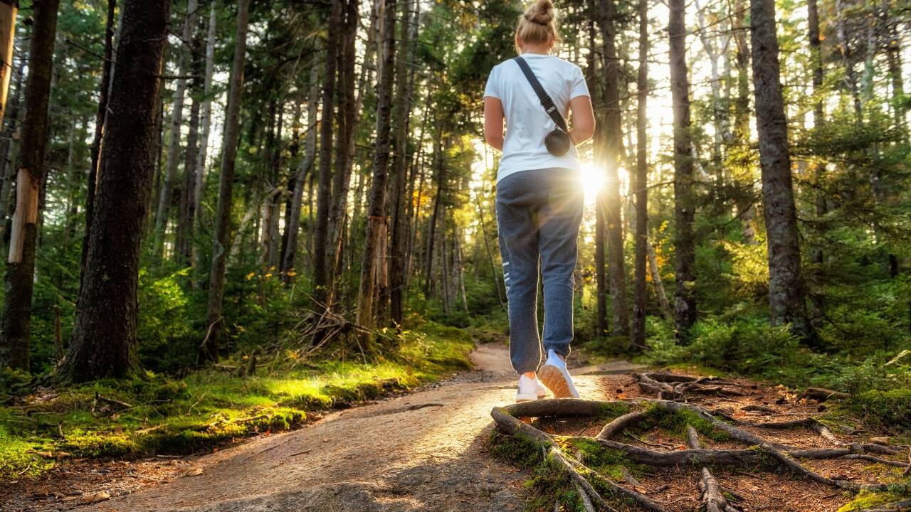 Explore the forests of Småland on scenic hiking trails and peaceful cycling routes.