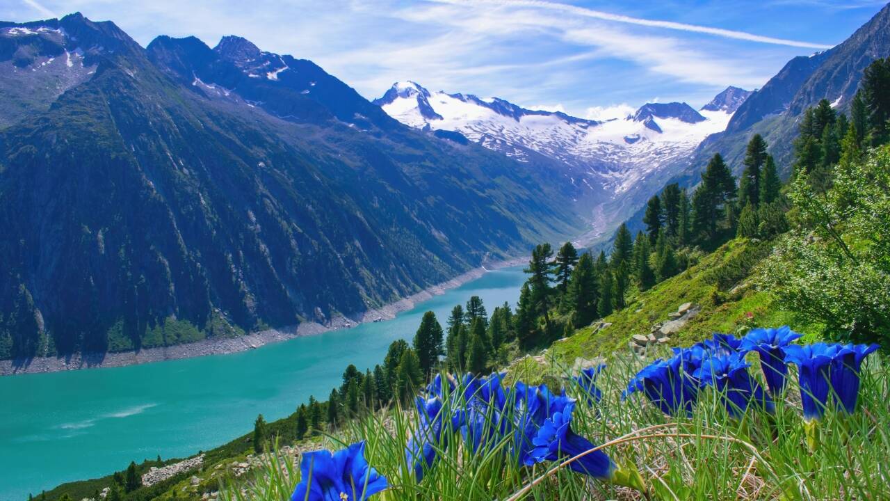 Verbringen Sie Ihren Sommerurlaub umgeben von den hohen Bergen und der faszinierenden Natur des Zillertals.