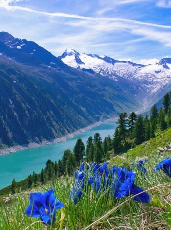 Verbringen Sie Ihren Sommerurlaub umgeben von den hohen Bergen und der faszinierenden Natur des Zillertals.