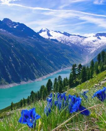 Verbringen Sie Ihren Sommerurlaub umgeben von den hohen Bergen und der faszinierenden Natur des Zillertals.