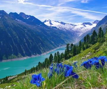 Verbringen Sie Ihren Sommerurlaub umgeben von den hohen Bergen und der faszinierenden Natur des Zillertals.