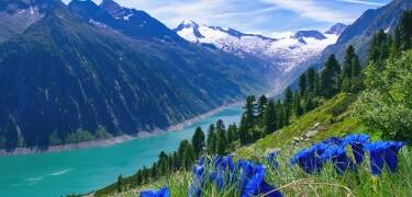 Verbringen Sie Ihren Sommerurlaub umgeben von den hohen Bergen und der faszinierenden Natur des Zillertals.