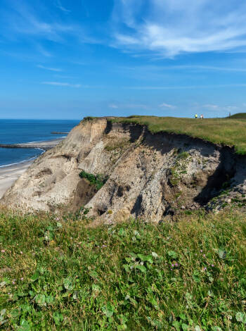 Experience the beauty of Limfjorden and the North Sea in every season.