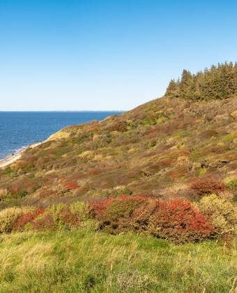 Udforsk fantastisk natur i Vestjylland med naturskønne og spændende vandrestier.