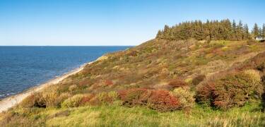 Upptäck fantastisk natur i Västra Jylland med natursköna och spännande vandringsleder.