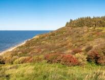 Entdecken Sie die fantastische Natur Westjütlands mit malerischen und spannenden Wanderwegen.