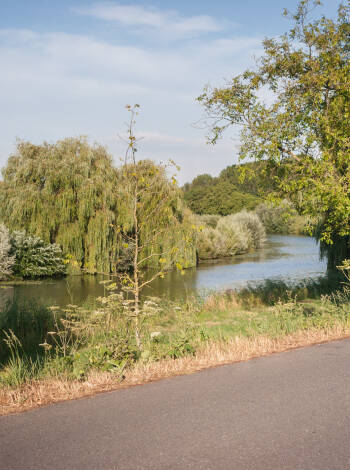 Entdecken Sie die malerischen Landschaften des Niederrheins bei einer Radtour entlang idyllischer Wege.