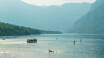 Du kan tage en panoramisk bådtur for at beundre søens skønhed. Eller dyrke forskellige former for vandsport som kano, kajak og svømning i Bohinjsøens krystalklare vand.