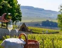 Schloss Edesheim erbjuder ett utmärkt läge för att utforska vingårdar, smaka på exceptionella lokala viner och fördjupa dig i den rika vinkulturen i Pfalz-regionen.