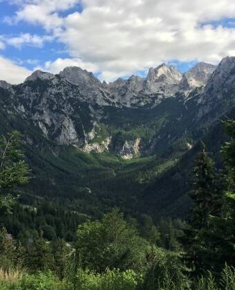 Erkunden Sie das wunderschöne Savinja-Tal mit seinen unberührten Wäldern.