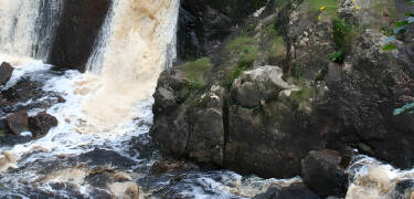 Besök den vackra naturen i området.