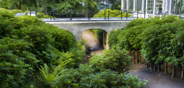 Besuchen Sie die Norrviken Gardens, die 2006 zu den schönsten Gärten Schwedens gekürt wurde.