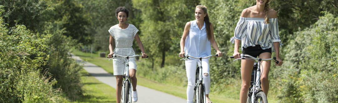 Mit dem Fahrrad können Sie die Küstenlandschaft der Lübecker Bucht und die schönen Gebiete im Landesinneren erkunden.