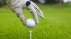 Golfare kommer att bli glada över att hitta ett stort utbud av vackra och utmanande golfbanor i hela regionen.