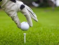 Golfere kan glede seg over å finne et utall vakre og utfordrende golfbaner i hele regionen.