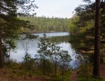 Utforska natur och historia i Bokedalens naturreservat, med lederna Bohusleden och Götaleden som börjar precis intill hotellet.