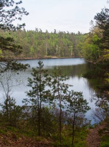 Utforska natur och historia i Bokedalens naturreservat, med lederna Bohusleden och Götaleden som börjar precis intill hotellet.