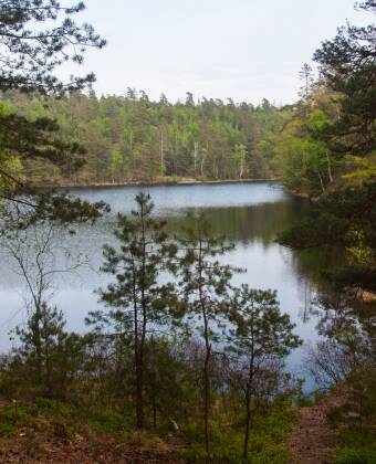 Erkunden Sie Natur und Geschichte im Naturreservat Bokedalen, wo die Wanderwege Bohusleden und Gotaleden direkt neben dem Hotel beginnen.