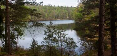 Utforsk naturen og historien i Bokedalen naturreservat, med løypene Bohusleden og Gotaleden som starter rett ved siden av hotellet.