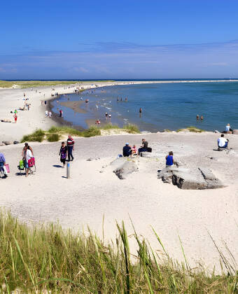 Ta en gåtur på de vakre strendene ved Skagen, som innbyr til å spasere langs vannkanten.