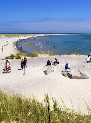 Tag en promenad i vattenbrynet upp och ner för den vackra stranden vid Skagen.