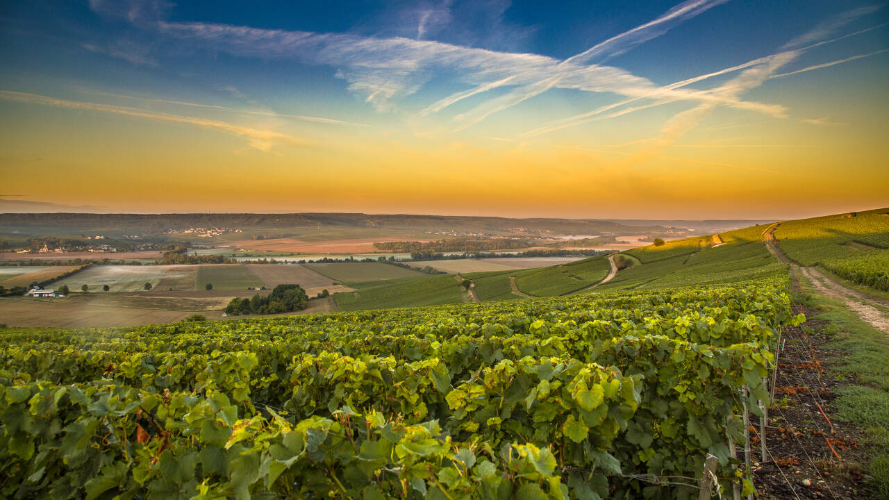 Et historisk boutiquehotell midt i Champagne-distriktet Côte des Blancs – perfekt for å oppdage champagneverdenen i autentiske omgivelser.