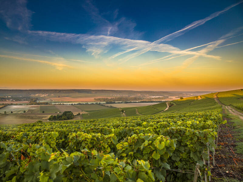 Ein historisches Boutique-Hotel im Herzen der Weinregion Côte des Blancs – ideal, um die Welt des Champagners in authentischem Ambiente zu entdecken.