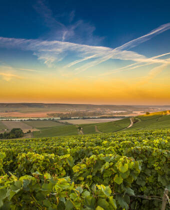 Ein historisches Boutique-Hotel im Herzen der Weinregion Côte des Blancs – ideal, um die Welt des Champagners in authentischem Ambiente zu entdecken.
