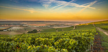 Ein historisches Boutique-Hotel im Herzen der Weinregion Côte des Blancs – ideal, um die Welt des Champagners in authentischem Ambiente zu entdecken.
