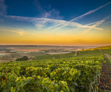 Ein historisches Boutique-Hotel im Herzen der Weinregion Côte des Blancs – ideal, um die Welt des Champagners in authentischem Ambiente zu entdecken.
