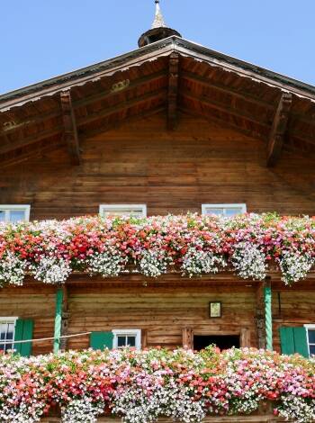Eine Augenweide: Alte Bauernhäuser im Brixental, die mit üppiger Blumenpracht geschmückt werden.