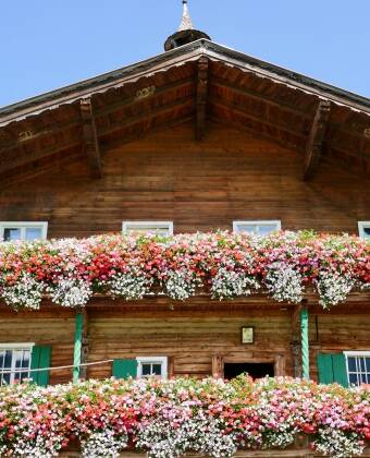 Eine Augenweide: Alte Bauernhäuser im Brixental, die mit üppiger Blumenpracht geschmückt werden.
