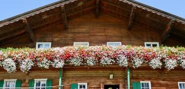 Eine Augenweide: Alte Bauernhäuser im Brixental, die mit üppiger Blumenpracht geschmückt werden.