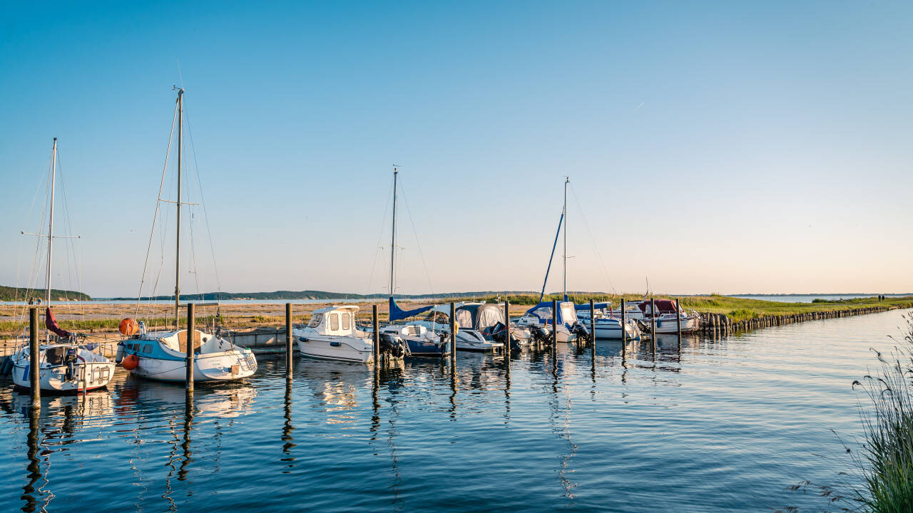 Genießen Sie die Freiheit des Tretbootfahrens direkt vom hoteleigenen Steg aus.