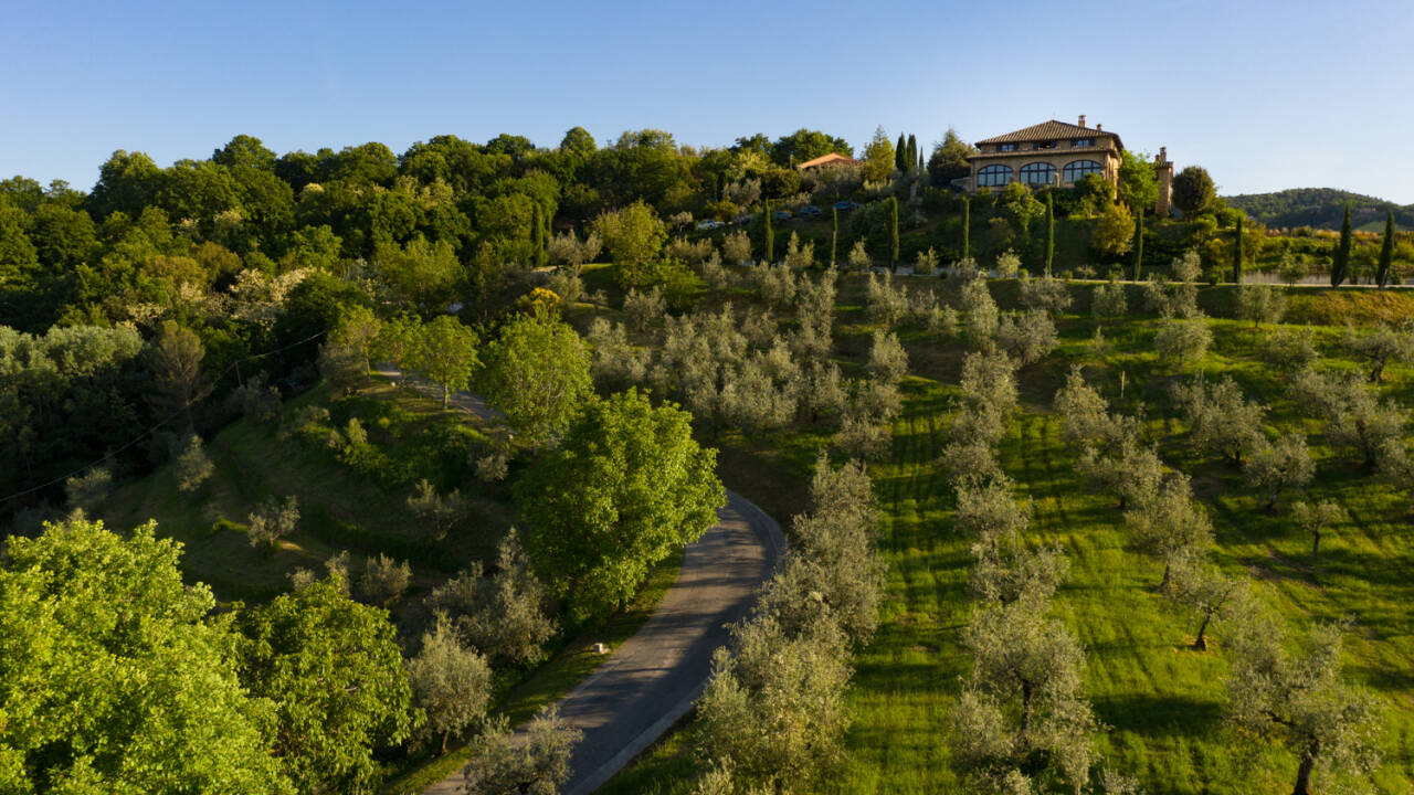 Discover the secrets of olive production with tastings of olive oil and wine.