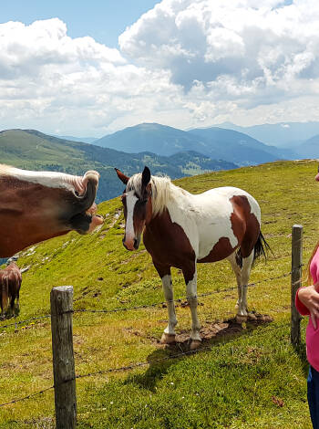 Umgeben von Kärntens Naturschönheiten ist das Hotel ein idealer Ausgangspunkt für die Erkundung von Berg- und Seerouten sowie der malerischen Landschaft.