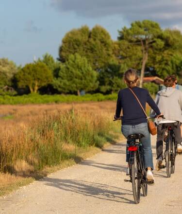 Explore the surrounding area by bike (available for rent at the hotel).